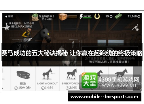 赛马成功的五大秘诀揭秘 让你赢在起跑线的终极策略